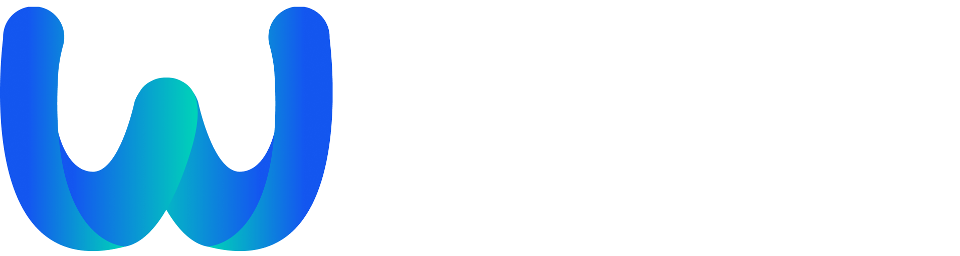 网文大数据